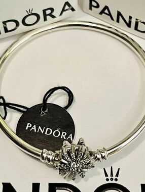 Pandora Silver Sparkle Bangle Bracelet